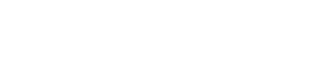 logo light